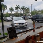 Florida Man Parking