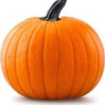 pumpkin template