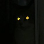 Cat Glow Eyes