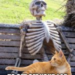 Not physically able to get up | WHEN YOU WAIT FOR YOUR CAT; TO GET OFF YOUR LAP | image tagged in memes,waiting skeleton,cats,help me | made w/ Imgflip meme maker