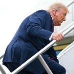 trump fall