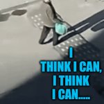 Uh, oh! | I THINK I CAN, I THINK I CAN….. | image tagged in gifs,fun,funny,fail,you had one job | made w/ Imgflip video-to-gif maker