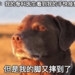 Random chinese meme hehe | POV：我的骨科医生看到我的手快痊愈了; 但是我的脚又摔到了 | image tagged in blissful dog | made w/ Imgflip meme maker
