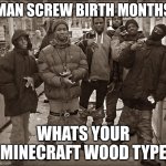 All My Homies Hate | MAN SCREW BIRTH MONTHS; WHATS YOUR MINECRAFT WOOD TYPE | image tagged in all my homies hate | made w/ Imgflip meme maker