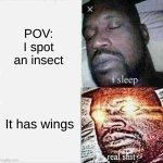 2019-ah meme, am I right? | POV: I spot an insect; It has wings | image tagged in memes,sleeping shaq,bad memes,fresh memes | made w/ Imgflip meme maker