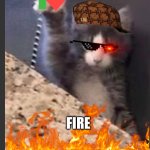 Fire cat