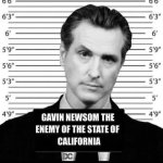 Gavin Newsom arrested