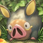 Lechonk surprised