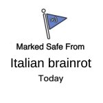 I cant spell :/ | >:); Italian brainrot | image tagged in memes,marked safe from | made w/ Imgflip meme maker
