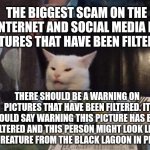 Smudge that darn cat | THE BIGGEST SCAM ON THE INTERNET AND SOCIAL MEDIA IS PICTURES THAT HAVE BEEN FILTERED. THERE SHOULD BE A WARNING ON PICTURES THAT HAVE BEEN FILTERED. IT SHOULD SAY WARNING THIS PICTURE HAS BEEN ALTERED AND THIS PERSON MIGHT LOOK LIKE THE CREATURE FROM THE BLACK LAGOON IN PERSON. | image tagged in smudge that darn cat | made w/ Imgflip meme maker