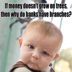 Money