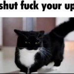 shut fuck your up meme