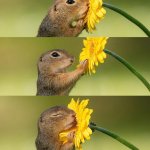 Stop and smell the flowers