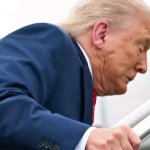 TrippingDJT template
