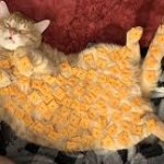 Meow