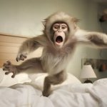 Monkey Jumping on the Bed