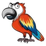 Parrot