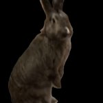 Gotta go hop GIF Template