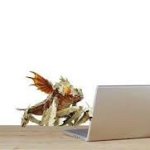 Terminid typing at computer 2