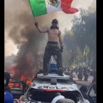 LA Rioters with Foreign Flags
