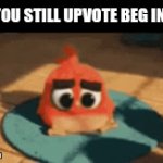 i cant think of a clever title for my gif | POV: YOU STILL UPVOTE BEG IN 2025 | image tagged in gifs,stop upvote begging,aub,memes,angry birds,imgflip | made w/ Imgflip video-to-gif maker