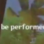 This action cannot be performed during combat