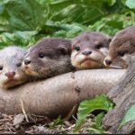 Me and the boys