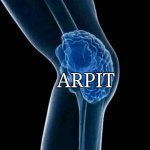 knee brain | ARPIT | image tagged in knee brain | made w/ Imgflip meme maker