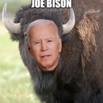 joe bison