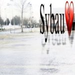 Sybau empty
