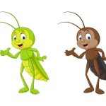 Crickets