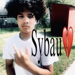 Sybau jay50