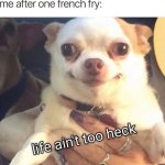 Life Ain’t Too Heck - Chihuahua