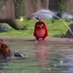 bomb and Chuck at lake of wizz(Dom) GIF Template