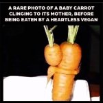 Think about it, you Heartless Vegans. meme