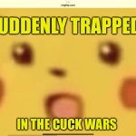 Cuck Wars | SUDDENLY TRAPPED; IN THE CUCK WARS | image tagged in cuck wars,cucks,riots,protesters,political meme,political memes | made w/ Imgflip meme maker