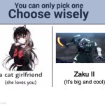 Choose wisely | Zaku II; (It’s big and cool) | image tagged in choose wisely | made w/ Imgflip meme maker