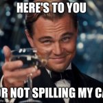 Leonardo Dicaprio Cheers | HERE'S TO YOU; FOR NOT SPILLING MY CAT | image tagged in memes,leonardo dicaprio cheers | made w/ Imgflip meme maker