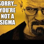 sorry you're not sigma