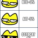 Stoopid Cats | BTC -3%; ALT -5%; $STOCAT -1% | image tagged in crypto,stoopid cats,crypto meme,chill guy,cat meme | made w/ Imgflip meme maker