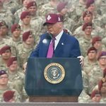 Trump sharpest bulb