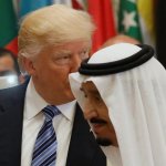 Trump lover