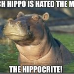 Dad jokes on animals now.... a new low | WHICH HIPPO IS HATED THE MOST? THE HIPPOCRITE! | image tagged in skeptical hippo,dad joke,bad jokes,hypocrite,very poor choice of words,dad jokes | made w/ Imgflip meme maker