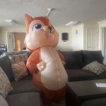 Squirrel