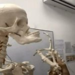 skeleton jaw