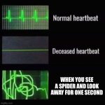 AaAaAa | WHEN YOU SEE A SPIDER AND LOOK AWAY FOR ONE SECOND | image tagged in heartbeat rate,scary,i'm dead | made w/ Imgflip meme maker