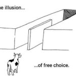 illusion of free choice