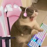 pink cute gamer girl cat