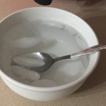 Ice Dinner