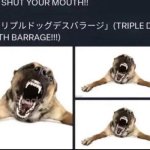 TRIPLE DOG DEATH BARRAGE meme